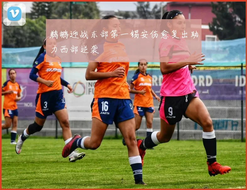 鹈鹕迎战东部第一锡安伤愈复出助力西部逆袭