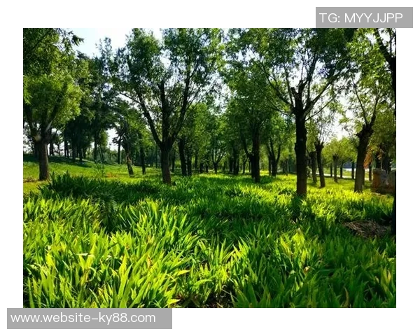 今日趣图:赢球才是未来的开始让我们一起期待精彩的比赛时刻 今日趣图:赢球才是未来的开始让我们一起期待精彩的比赛时刻