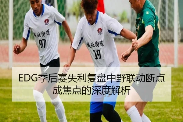 EDG季后赛失利复盘中野联动断点成焦点的深度解析（kaiyun）